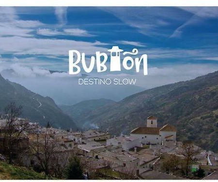 Bubion. Alpujarra Granadina Apartment Ngoại thất bức ảnh